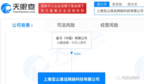 盒马在上海成立涓龙网络科技公司，注册资本10万元加速网络技术布局